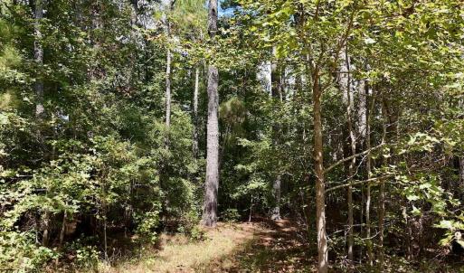 Photo #18 of Off Bessie Ln, Lumberton, NC 4.2 acres