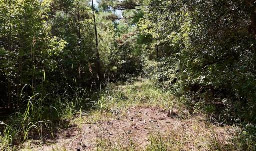 Photo #19 of Off Bessie Ln, Lumberton, NC 4.2 acres