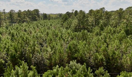 Photo #21 of Off Bessie Ln, Lumberton, NC 4.2 acres