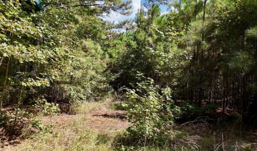Photo #22 of Off Bessie Ln, Lumberton, NC 4.2 acres