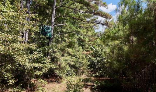 Photo #25 of Off Bessie Ln, Lumberton, NC 4.2 acres