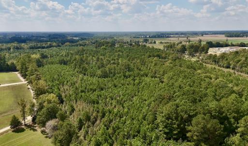 Photo #3 of Off Bessie Ln, Lumberton, NC 4.2 acres