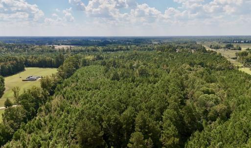 Photo #4 of Off Bessie Ln, Lumberton, NC 4.2 acres