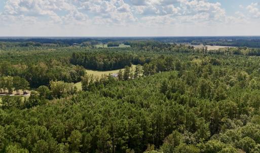 Photo #5 of Off Bessie Ln, Lumberton, NC 4.2 acres