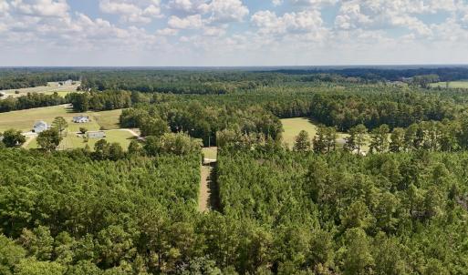 Photo #6 of Off Bessie Ln, Lumberton, NC 4.2 acres