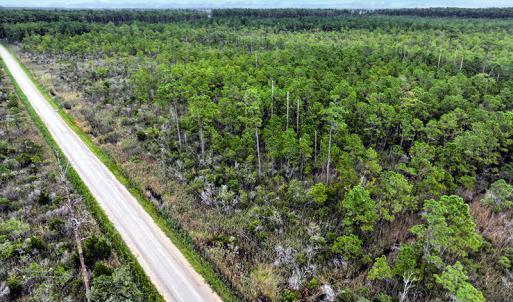 Photo #1 of Off Middle Bay Road, Hobucken, NC 12.0 acres