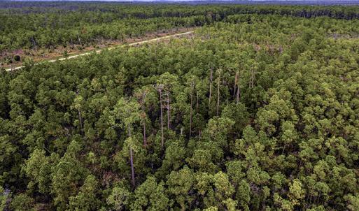 Photo #2 of Off Middle Bay Road, Hobucken, NC 12.0 acres