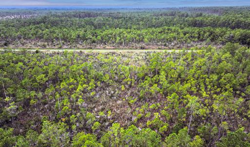 Photo #3 of Off Middle Bay Road, Hobucken, NC 12.0 acres