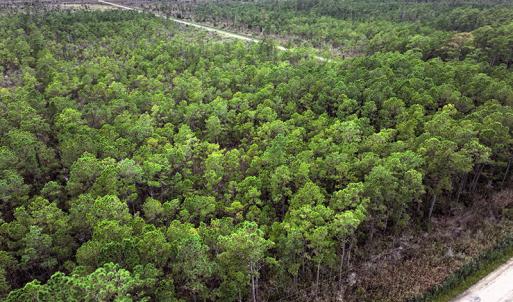Photo #4 of Off Middle Bay Road, Hobucken, NC 12.0 acres