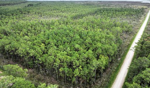 Photo #5 of Off Middle Bay Road, Hobucken, NC 12.0 acres