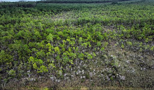 Photo #6 of Off Middle Bay Road, Hobucken, NC 12.0 acres