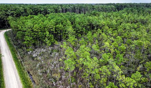 Photo #7 of Off Middle Bay Road, Hobucken, NC 12.0 acres