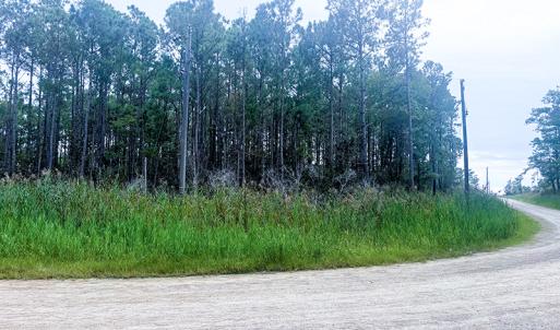 Photo #10 of Off Middle Bay Road, Hobucken, NC 12.0 acres