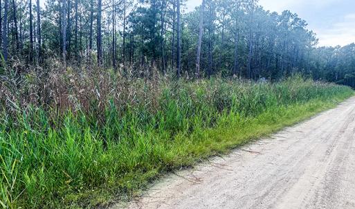 Photo #12 of Off Middle Bay Road, Hobucken, NC 12.0 acres
