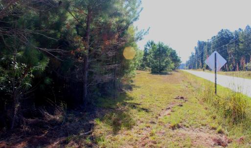 Photo #2 of Off Dew RD, Temperance Hill, SC 17.3 acres