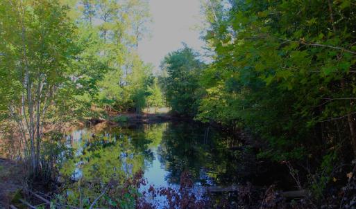 Photo #4 of Off Dew RD, Temperance Hill, SC 17.3 acres