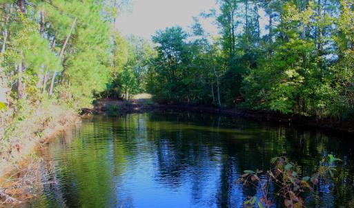 Photo #5 of Off Dew RD, Temperance Hill, SC 17.3 acres