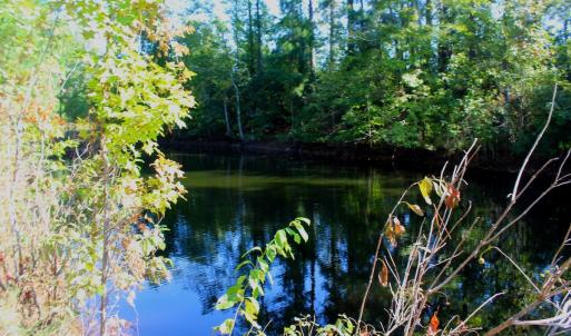 Photo #6 of Off Dew RD, Temperance Hill, SC 17.3 acres