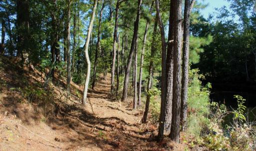 Photo #7 of Off Dew RD, Temperance Hill, SC 17.3 acres