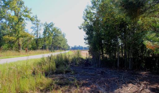 Photo #9 of Off Dew RD, Temperance Hill, SC 17.3 acres