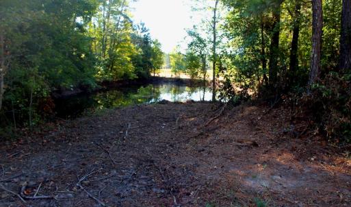 Photo #11 of Off Dew RD, Temperance Hill, SC 17.3 acres
