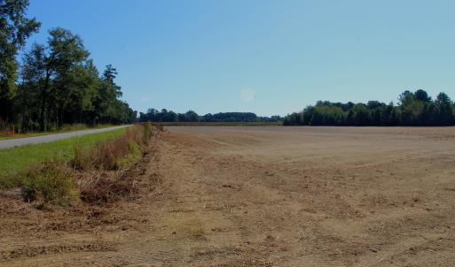 Photo #12 of Off Dew RD, Temperance Hill, SC 17.3 acres