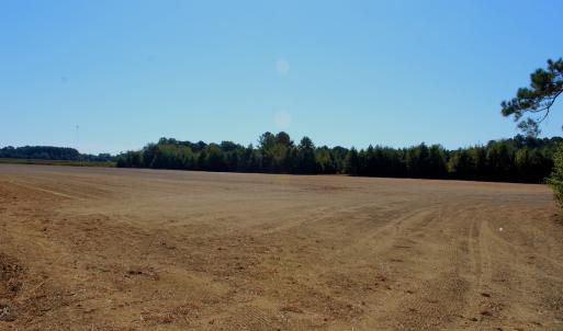 Photo #13 of Off Dew RD, Temperance Hill, SC 17.3 acres