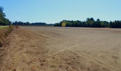 Photo #16 of Off Dew RD, Temperance Hill, SC 17.3 acres