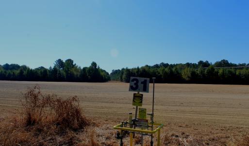 Photo #17 of Off Dew RD, Temperance Hill, SC 17.3 acres