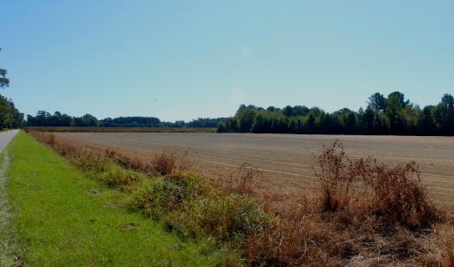 Photo #18 of Off Dew RD, Temperance Hill, SC 17.3 acres