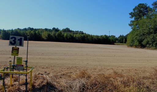 Photo #19 of Off Dew RD, Temperance Hill, SC 17.3 acres