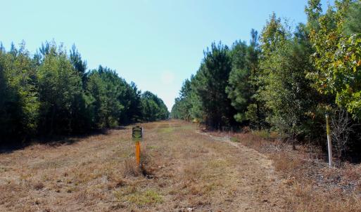 Photo #21 of Off Dew RD, Temperance Hill, SC 17.3 acres