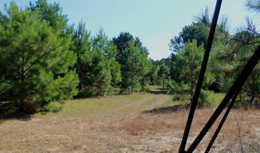Photo #23 of Off Dew RD, Temperance Hill, SC 17.3 acres