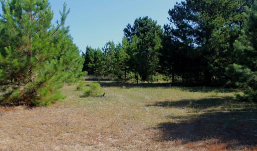 Photo #24 of Off Dew RD, Temperance Hill, SC 17.3 acres