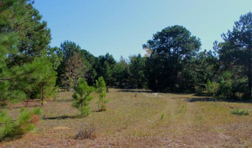 Photo #25 of Off Dew RD, Temperance Hill, SC 17.3 acres