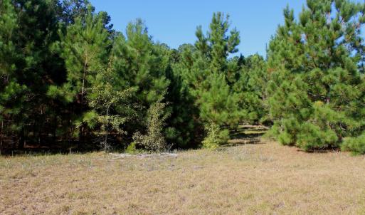 Photo #26 of Off Dew RD, Temperance Hill, SC 17.3 acres
