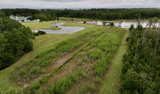 Photo #62 of 811 US Hwy 70, Davis, NC 14.7 acres