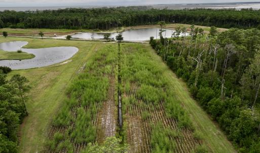 Photo #63 of 811 US Hwy 70, Davis, NC 14.7 acres
