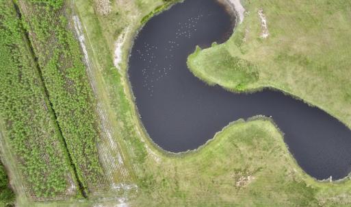 Photo #66 of 811 US Hwy 70, Davis, NC 14.7 acres