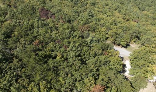 Photo #9 of Off Craig Woods Rd, New Castle, VA 2.8 acres