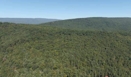 Photo #25 of Off Craig Woods Rd, New Castle, VA 2.8 acres