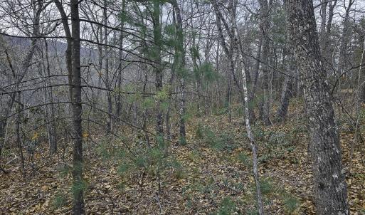 Photo #35 of Off Craig Woods Rd, New Castle, VA 2.8 acres