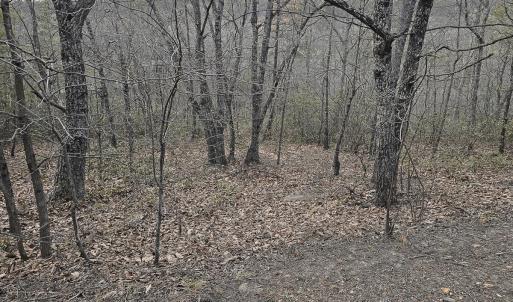 Photo #38 of Off Craig Woods Rd, New Castle, VA 2.8 acres