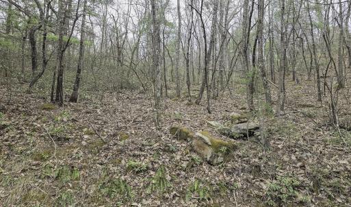 Photo #45 of Off Craig Woods Rd, New Castle, VA 2.8 acres