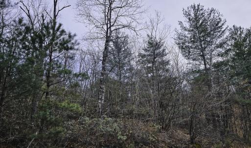Photo #46 of Off Craig Woods Rd, New Castle, VA 2.8 acres