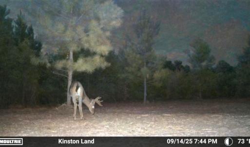 Photo #40 of Off Institute Road, Kinston, NC 35.0 acres