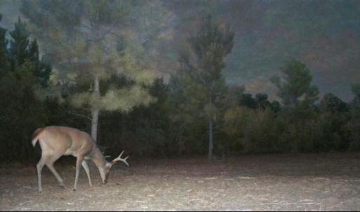 Photo #42 of Off Institute Road, Kinston, NC 35.0 acres