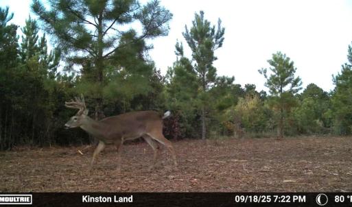 Photo #41 of Off Institute Road, Kinston, NC 35.0 acres