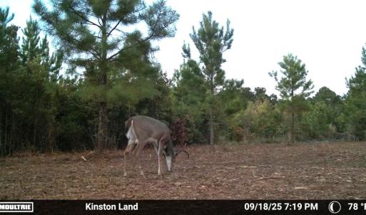 Photo #39 of Off Institute Road, Kinston, NC 35.0 acres