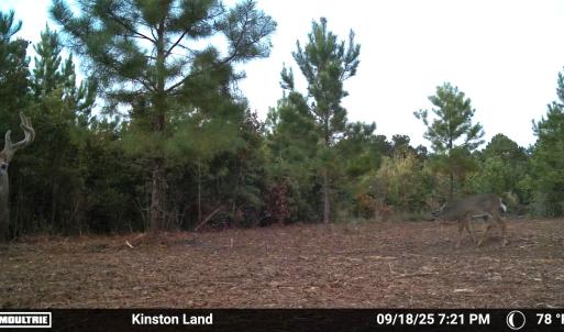 Photo #43 of Off Institute Road, Kinston, NC 35.0 acres